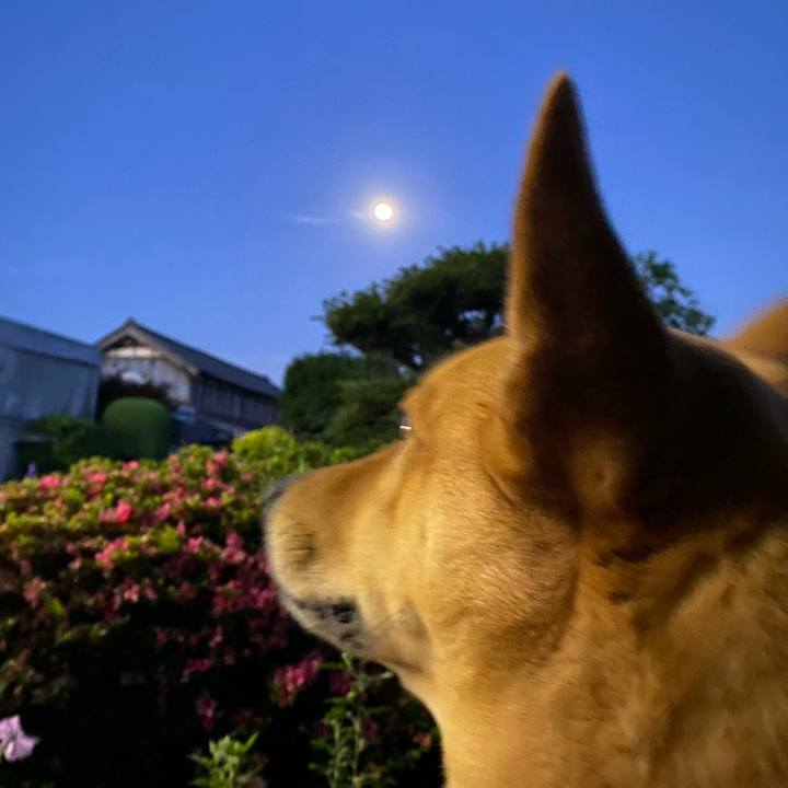 805411a8 0182 4d47 be0c 5f953453efaf 1621938630258