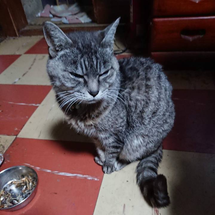 805449ce ffa3 40ef be82 5d9bfddab8d7 1604700044782