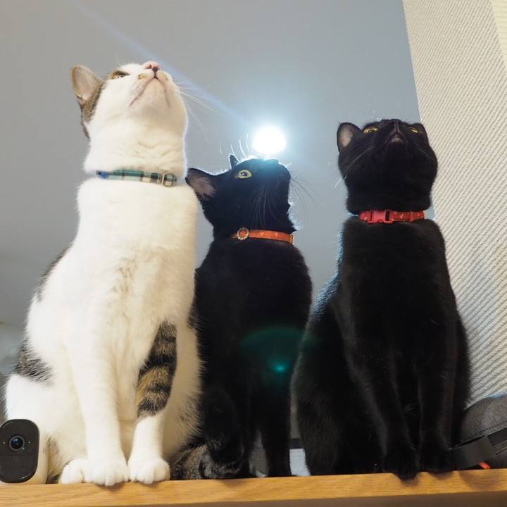 80545f27 d38b 4187 a068 c2e6e792948b 1541515080809