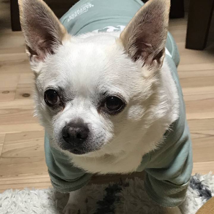 805473dd 9028 4728 8be3 a984d5808368 1614748226978