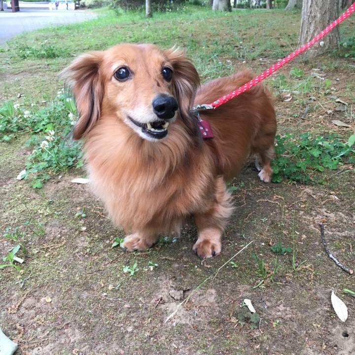 80548421 1327 4256 bad6 6a43ca34e90a 1558272609166