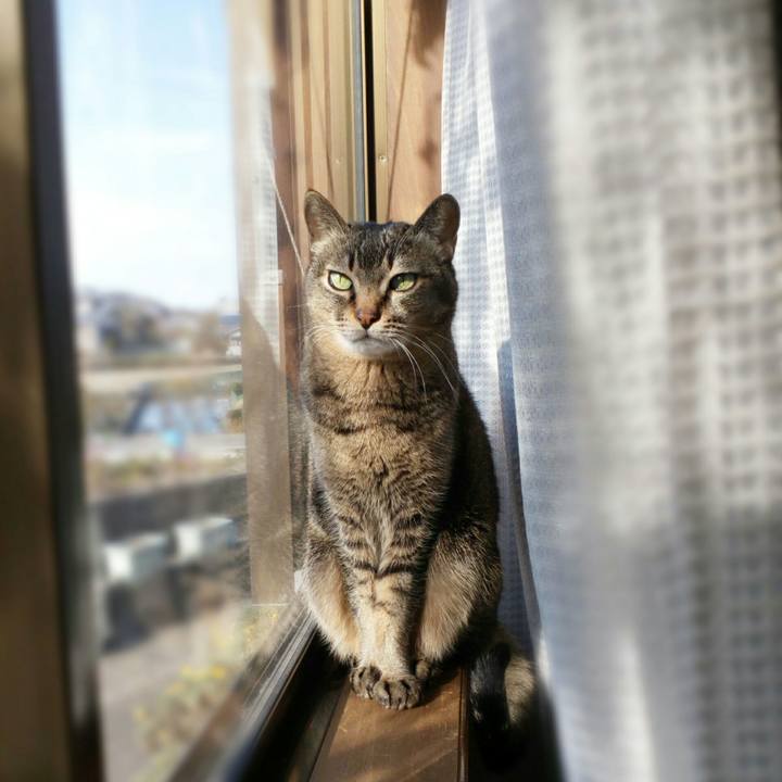 8054bba3 6927 41eb ad9b 94fea3b6a626 1576213069541