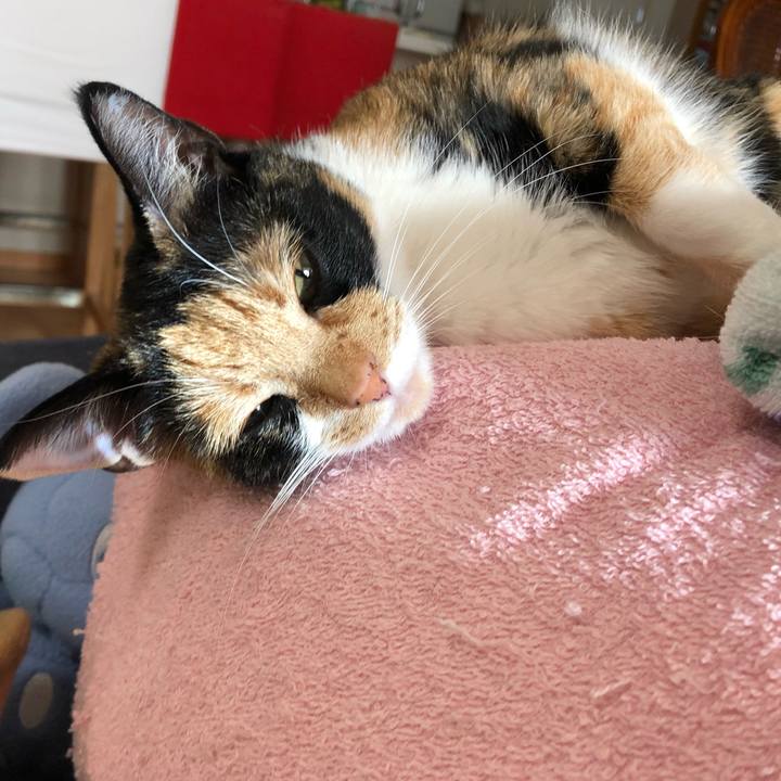 8054bcc2 0942 4b6e 9b4b 67c6e0547eba 1543027544382