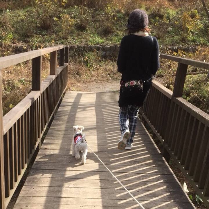 8054c7f0 9f1c 4c30 9653 15a6b8e7bf70 1511177079623