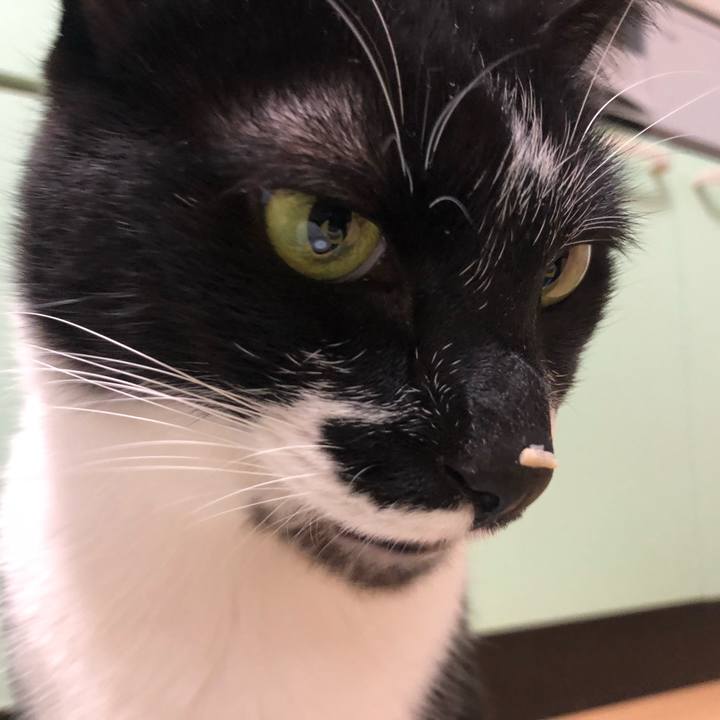 805506f4 b5ee 4ea8 bf34 f266321643b0 1577788691809