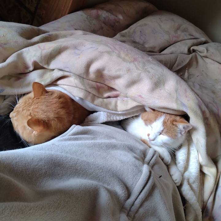 80550d4e 68c4 42f0 a433 44bf31a9e52d 1764303126746