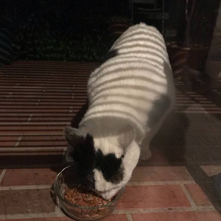 80552836 3f65 4e49 a165 d792ac86d69b 1616197556298