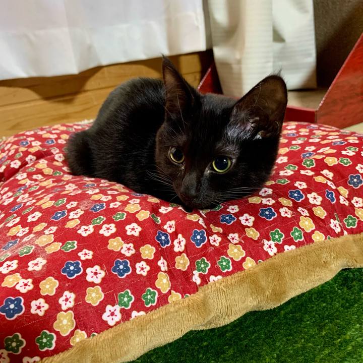 80554b3c 6933 4096 a002 057ba332eb92 1643357216816