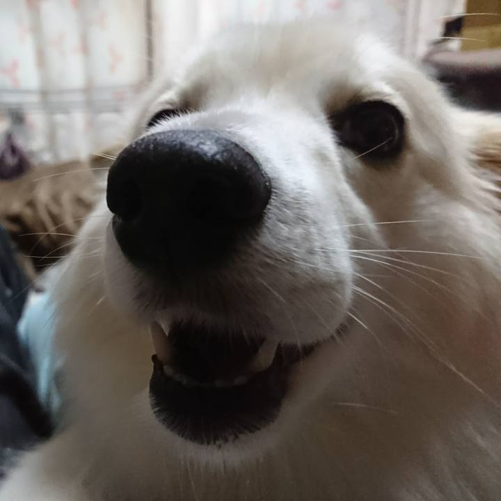 80557b53 042a 4cd2 8093 9924adcfef8d 1510433431606