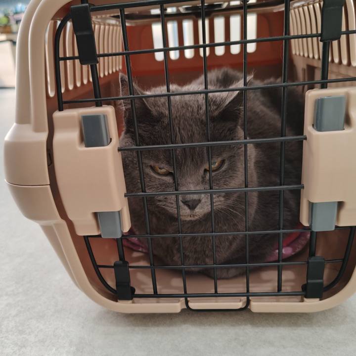 80559f69 3521 404b ba6d 7823d391d50e 1771676021732