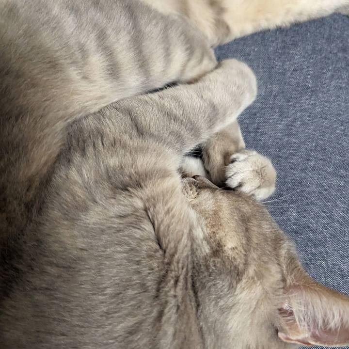 8055a882 9611 45e2 ba5a 9a63751f434e 1712115133488