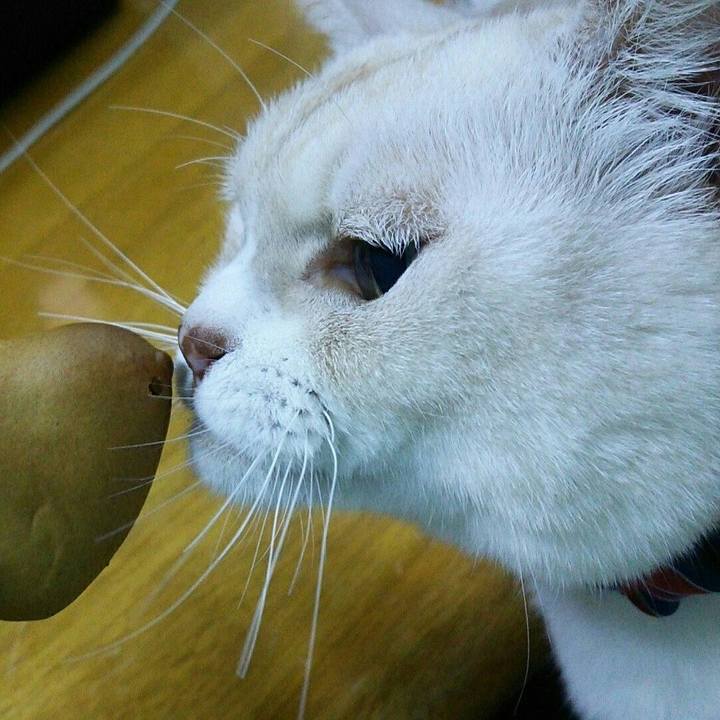 8055ad6f 4af9 498b ab51 515d795eb3ba 1513266375065