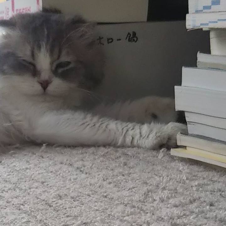 8055d4f0 1329 49be 9d70 6b155c72fee6 1625281547531