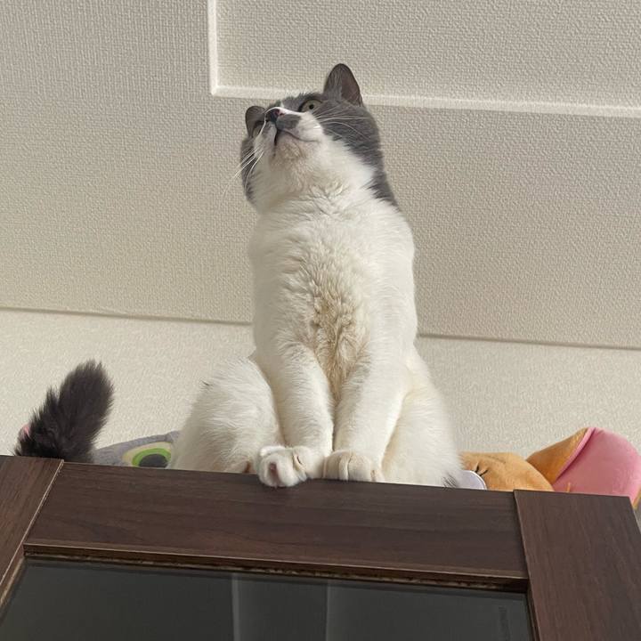 8055e34d 6db8 462b 9670 a2f75cc3bc25 1740638368990