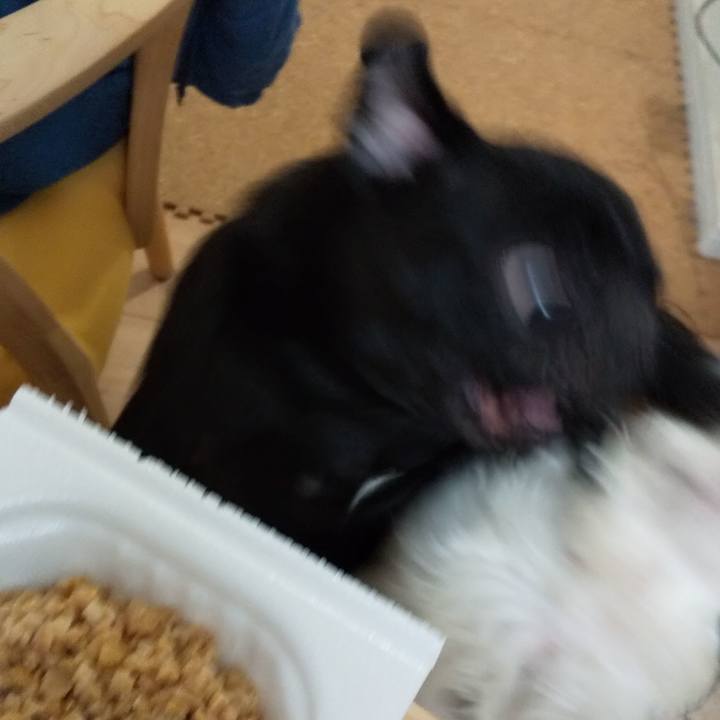 8055ed7b 29ee 42dc 9828 8f59fa834817 1568646178975