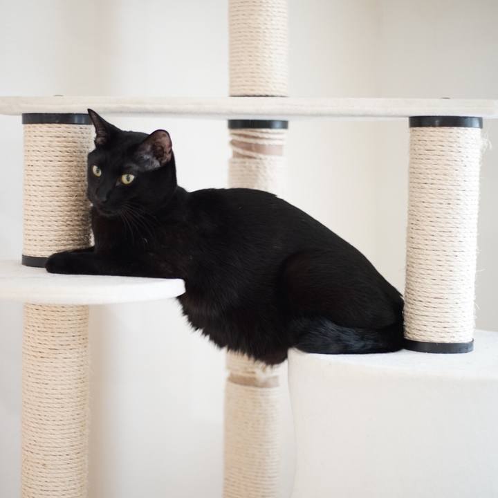 80561a0b 0df4 4300 8af7 b0d906c40c98 1518679529093