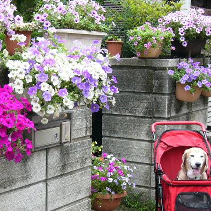 805635d9 341f 456e b2b7 227e8e520ad7 1653180882980