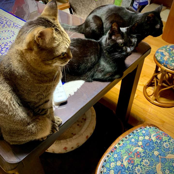 80565f92 1a6a 47aa ad20 f7019b3ee8d9 1681044586476