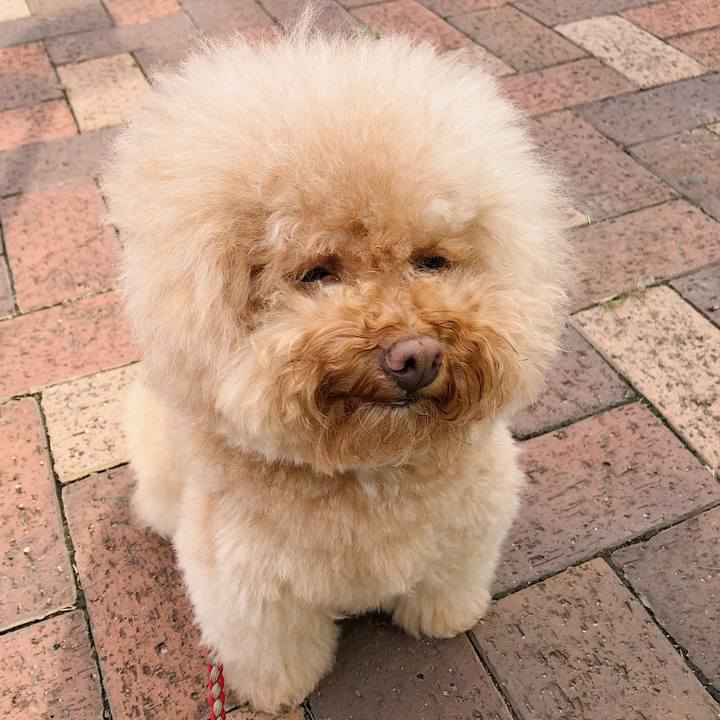 8056dd69 50ed 4996 be4e 2fee3363a7a1 1539336595823