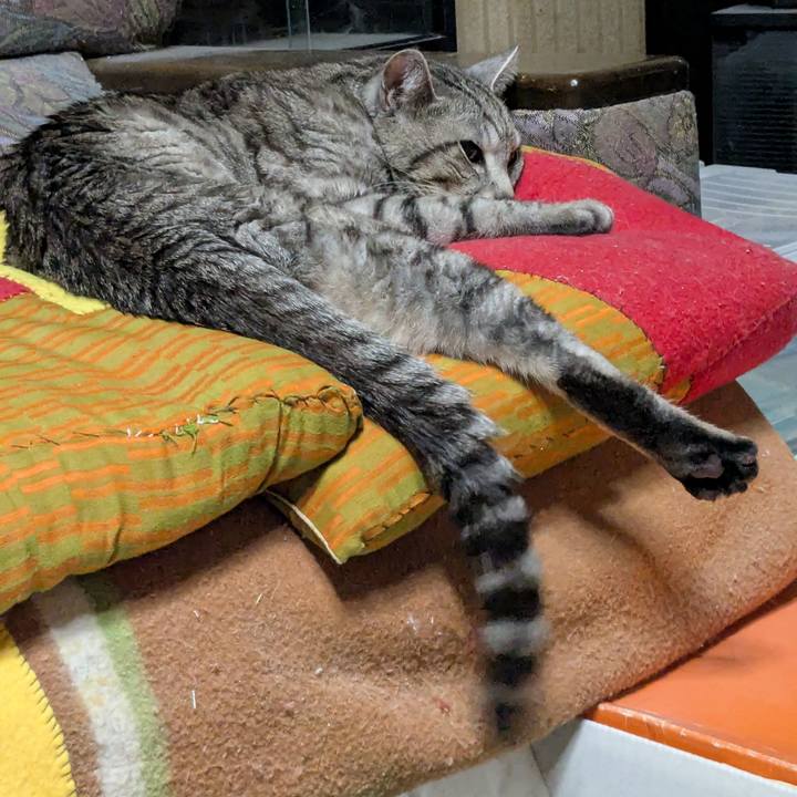 8056f2cf 9e98 47d5 9112 bf91cf3f3d42 1741695204236