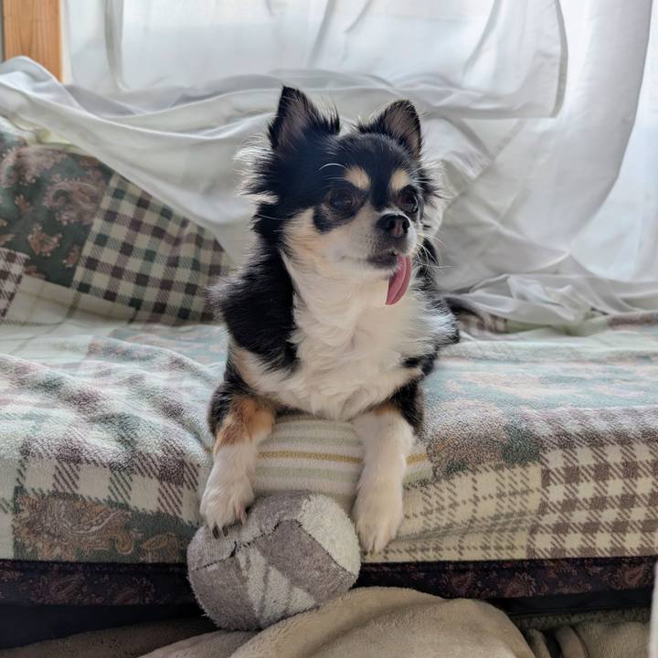 8056fbea 199f 4b6d a0e0 191c815c7a27 1772844321951