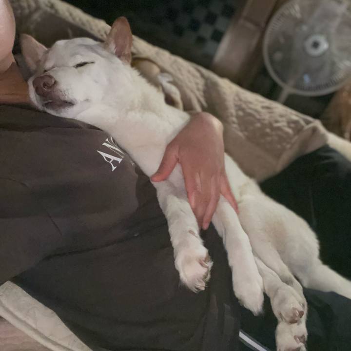 8057345f c0a9 48ad 8d73 60bfcea3ed36 1648306972632