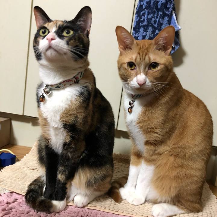 8057a9bf eb19 456b 955f 6fac1a97af5d 1588951410838