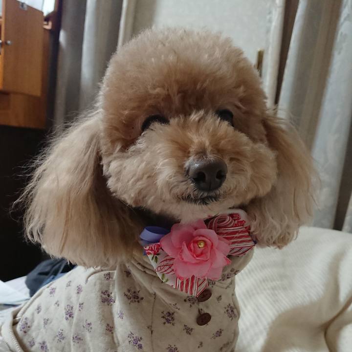 8057ac2a bfde 4284 a6f6 4f2ae126b70c 1543408428703