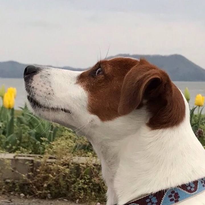 8057c99d 6c76 4620 b36c 4a4ae701fcde 1523434904899