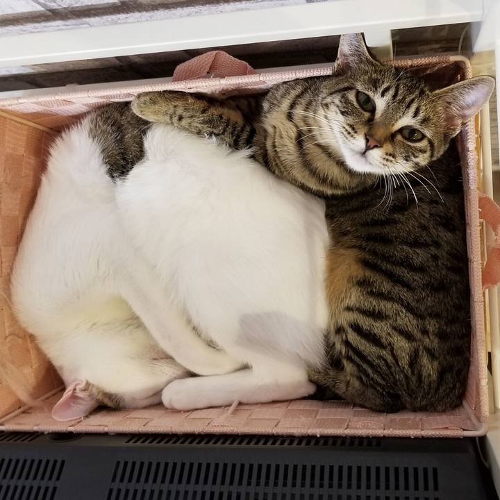 8057dfb1 6e16 45ce 9e02 ace0e5626d2b 1544787879971