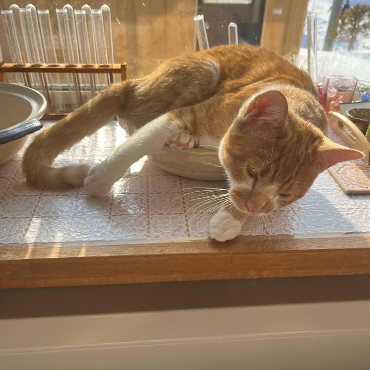 80583391 09a1 4be7 90c5 5b3801ea041d 1676678396725