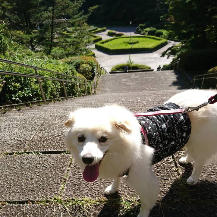 80583845 90c1 414e 92b8 3809ecc2bdc0 1537679579352