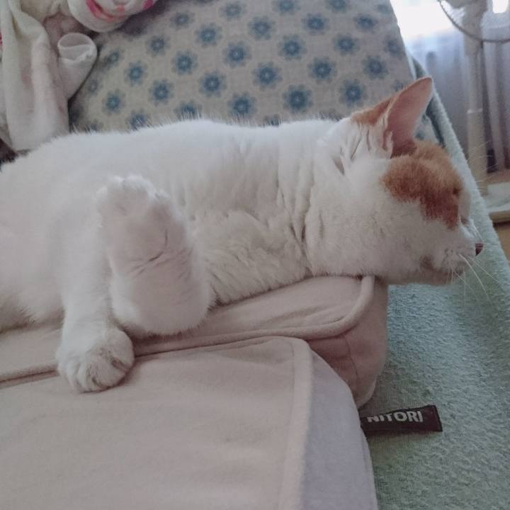 80583eeb 42b7 4105 92fe 348c5fd3f498 1630059661649