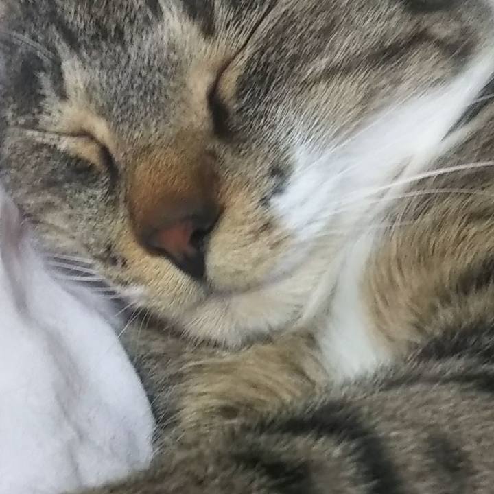 805892e8 d564 48ac 9c96 5a060e7ca54f 1622206805930