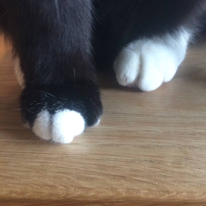 8058d5d4 eb65 4a3c b1c2 a6401118cc33 1550099620511