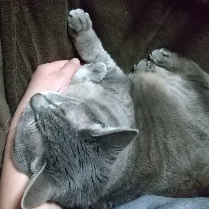 8058d75b 0e62 4b31 b5ff 8e9d3e3d03a4 1645266639261