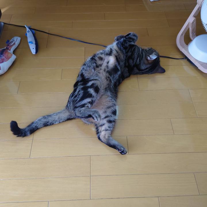 8058d772 0396 47dd 8fbf 60e786e8666a 1627109478452