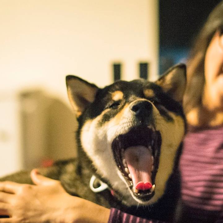 8058ecd4 436a 43b3 910a 80667e831117 1526597071963