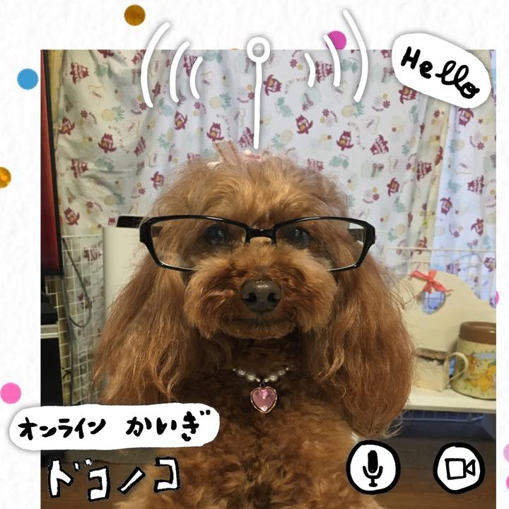 80590776 9f75 41cc 8905 50f2813856fe 1590751205910