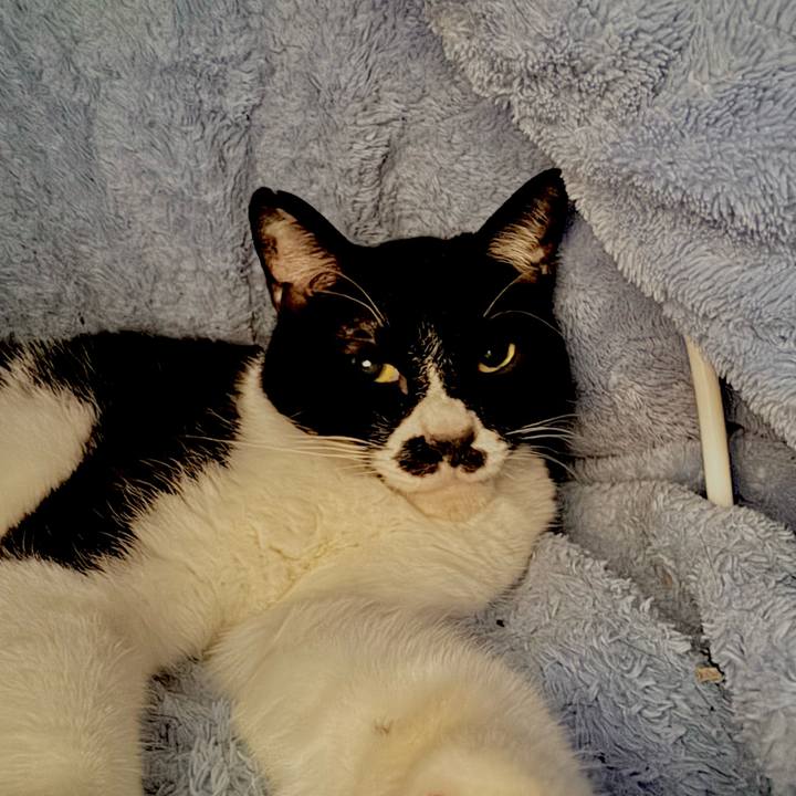 80593ecb 1b64 42bd 9f22 d5f6d684db1f 1745625341682