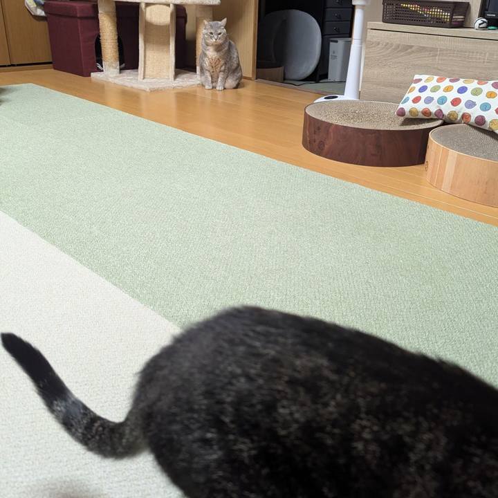 80594885 494c 4f2f 9728 cdc5136f6506 1738543941935