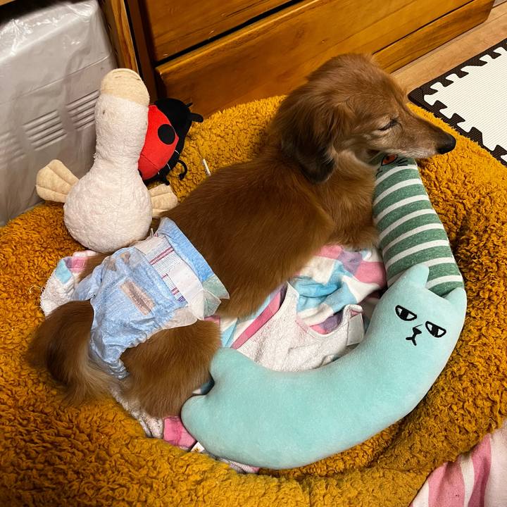 8059495d 712a 47aa a86b 95ad07a4c27b 1667824764238