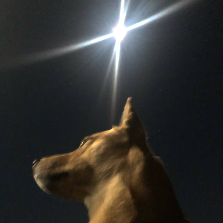 805983b2 30bb 4d28 b87b def06015aa67 1576157606020