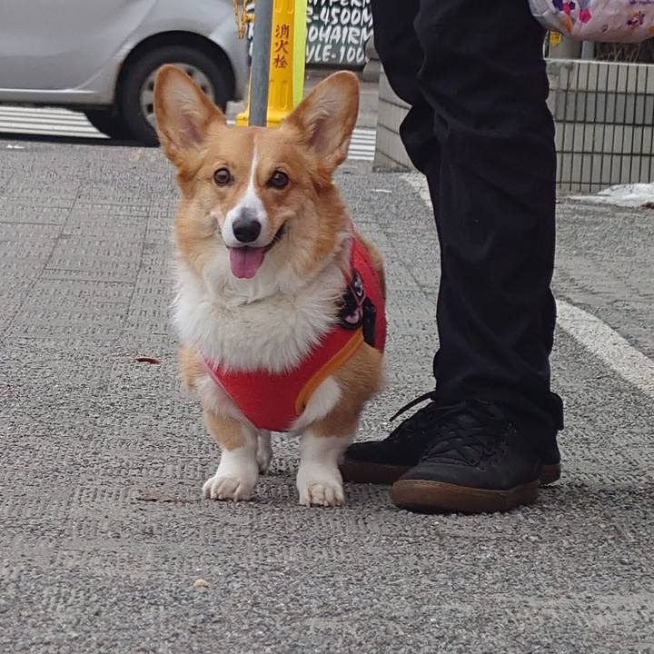 80598a16 5491 4121 8154 57a6f7bd2bb1 1774222520072