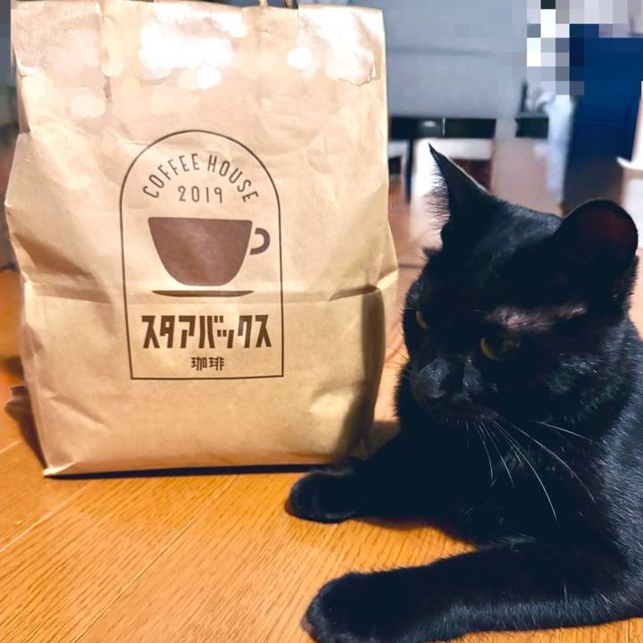 8059ae38 fea3 4aa6 a031 e3bf9827e60e 1758582342224