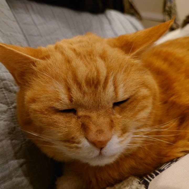 8059ca95 f34f 4038 9272 6b2a45bd3c5c 1763469816746