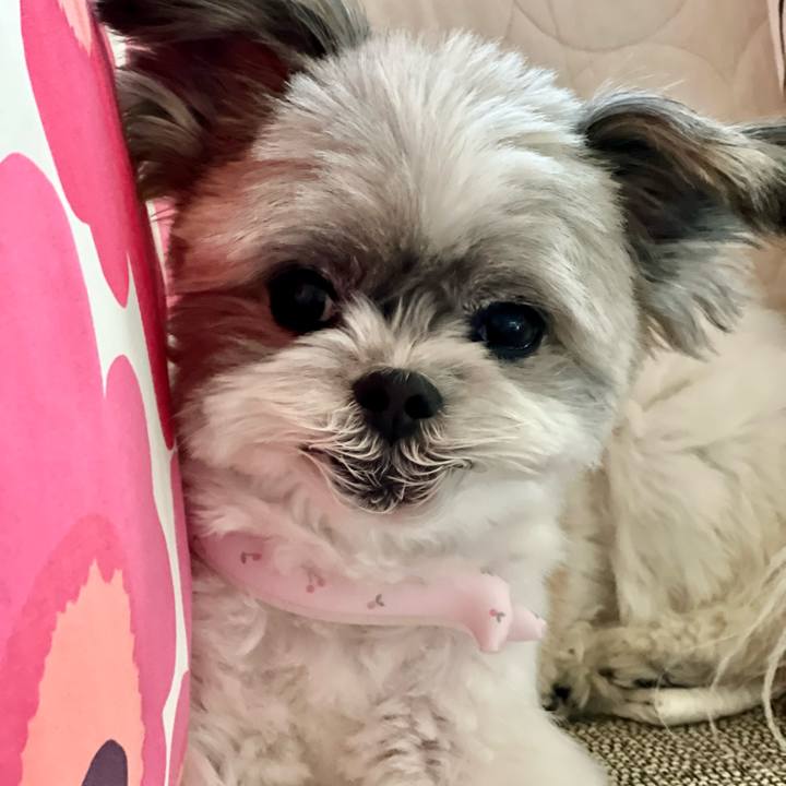 8059dfec fdb0 4856 b36b 7e962792a06f 1691544918832