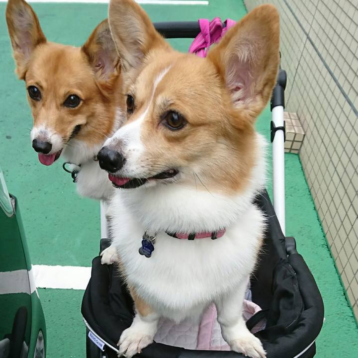 805a1e19 7ed7 4365 b01b 6637fe51c29d 1537416536953