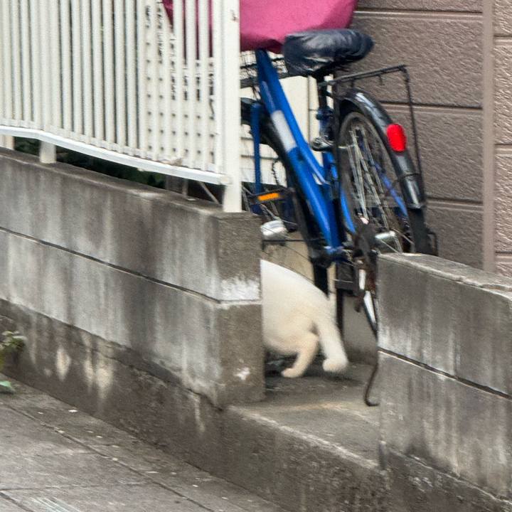 805a1f67 0b90 4b4c 9e02 d2049168b74d 1755812758510