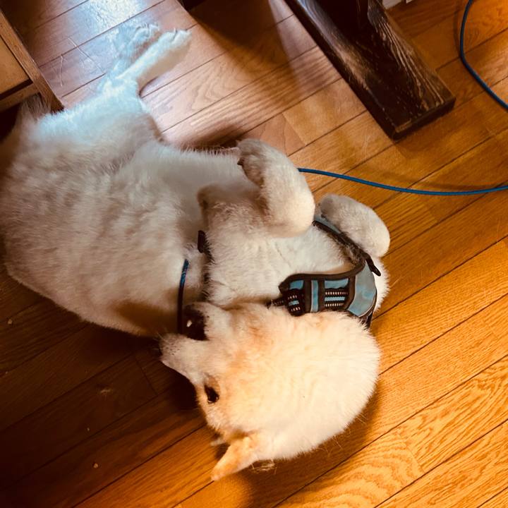 805a378c 03f1 46c4 aa65 6d8de132abf2 1756070338140